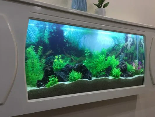 Bể cá treo tường siêu mỏng tại Hà Nội