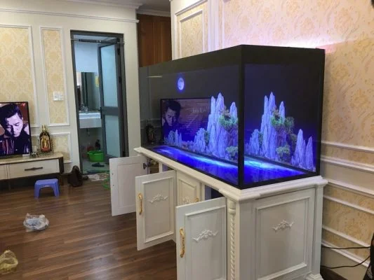 Bể cá phong thủy nhà anh Hoàn Bảo Sơn