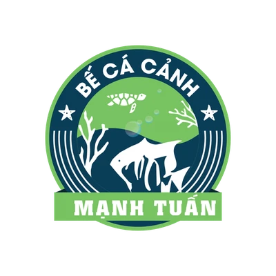 Bể Cá Mạnh Tuấn